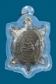 เหรียญเต่าเรือน หลวงปู่หลิว 招财龟 龙婆柳 (T2866)
