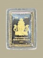 เหรียญปิดตาพังพะกาฬ วัดพระธาตุ 盼帕间 (T4928)
