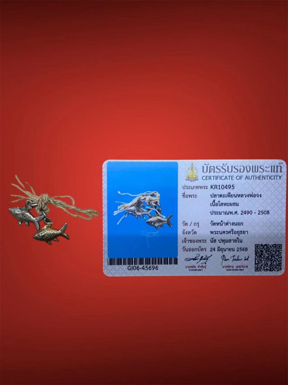 13-70872-zoom.jpg