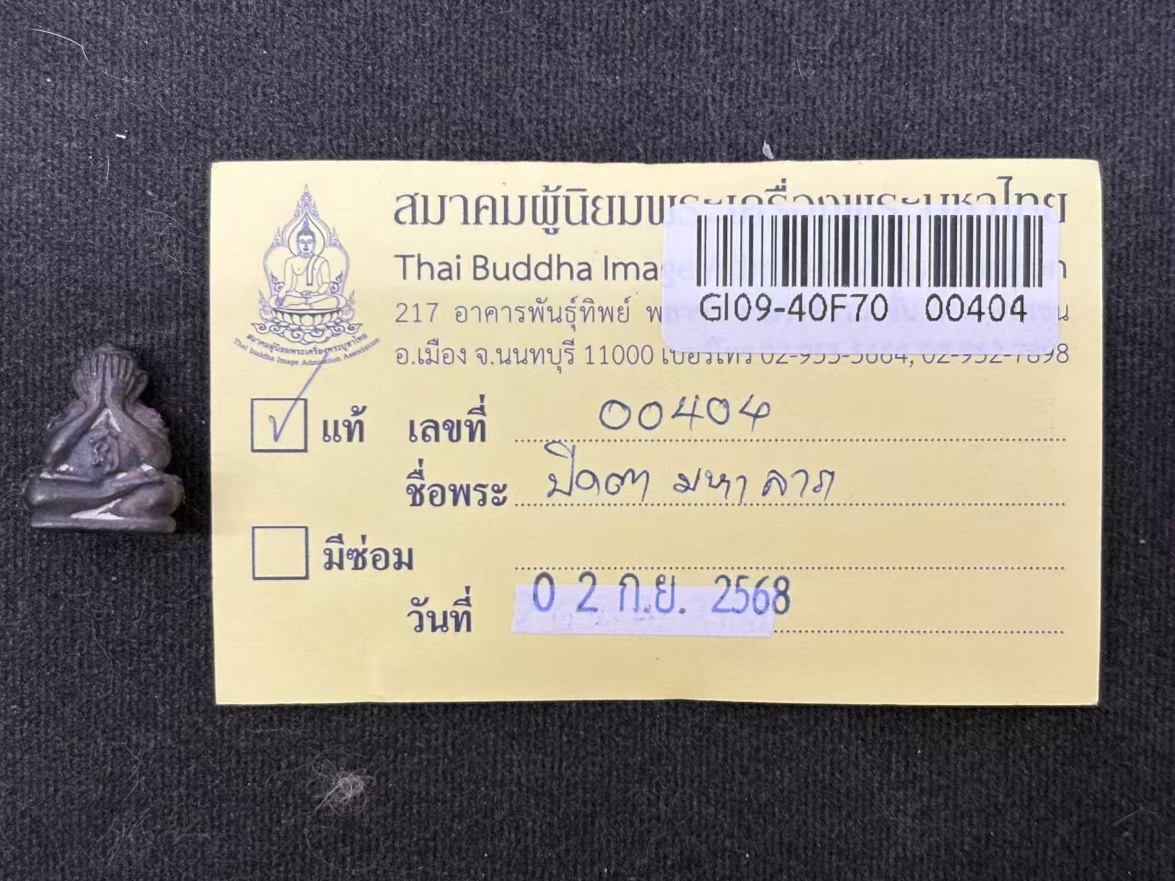 wechat-image-20250905152832.jpg